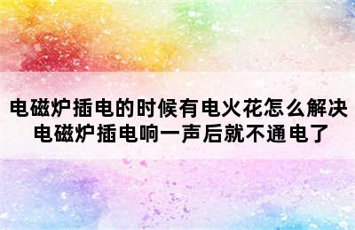 电磁炉插电的时候有电火花怎么解决 电磁炉插电响一声后就不通电了